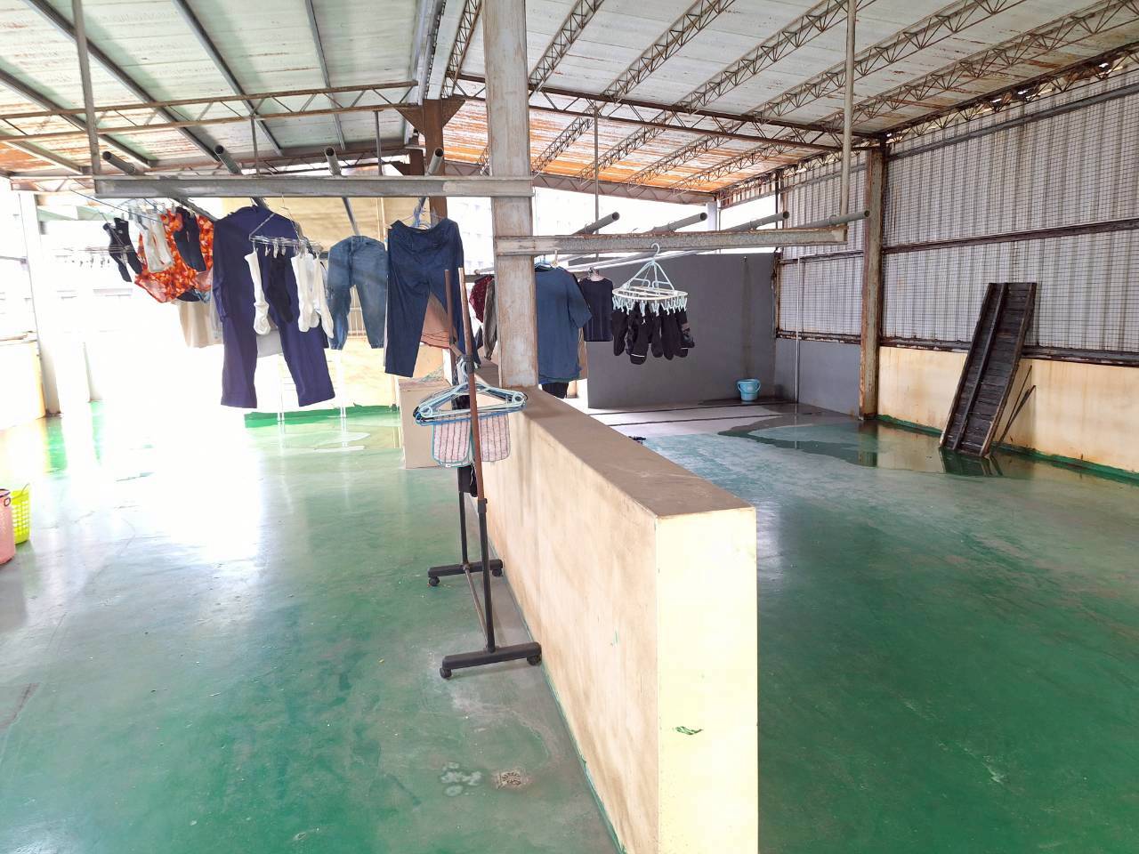 �F�����M�j�u��|�西�M��(A35)