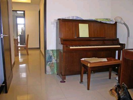 �Z�����w�w�a�d�T�гíѹq����������(D113)