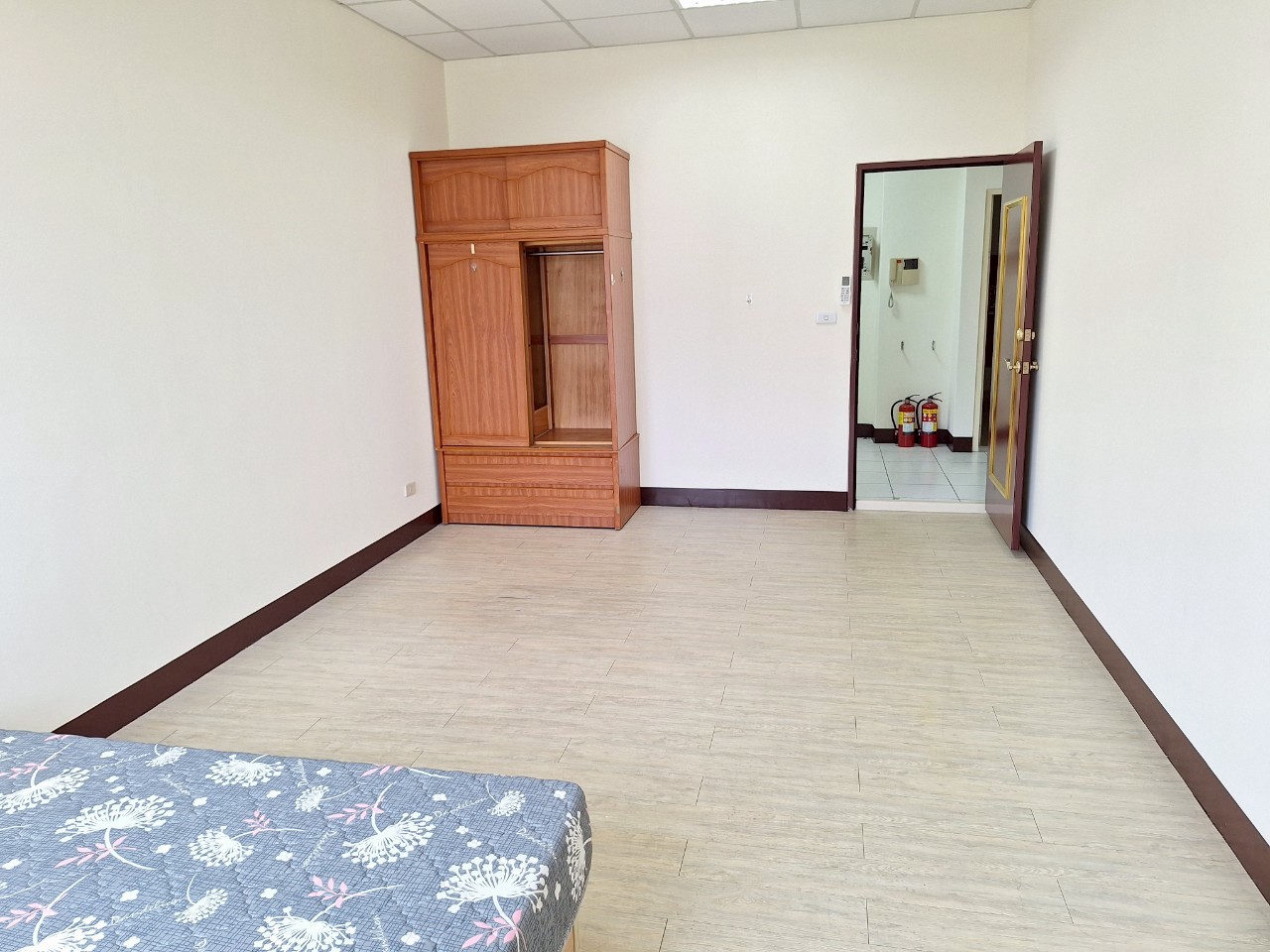 MjDj|СDAǥͦXDJ(D50)