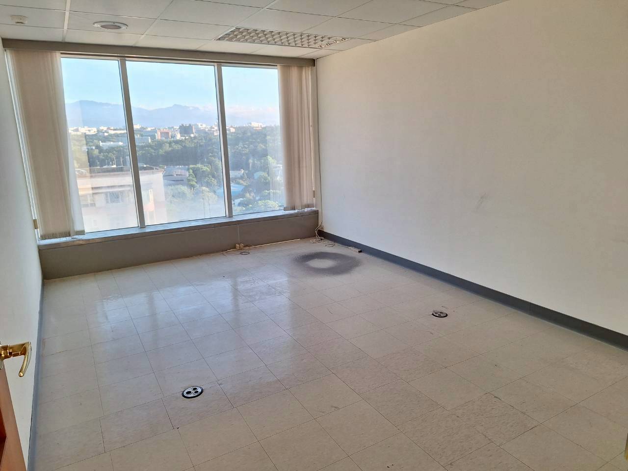 _Gq¿jӿ줽ǡDŽ(F51)