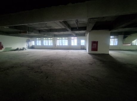 ۥѸTǰϡDi߮סDTĥDDǤW(F138)