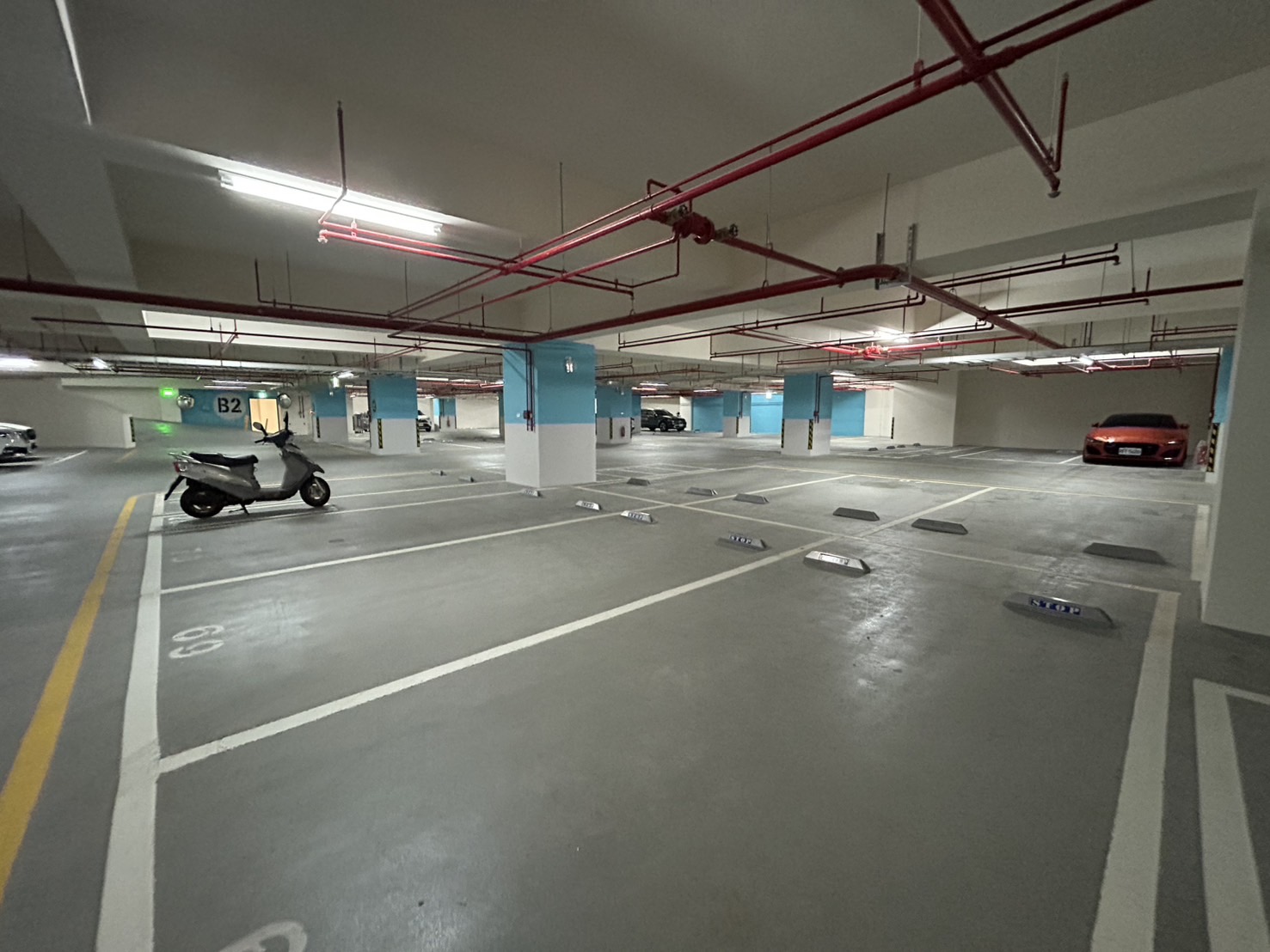 s޼tϡDitnDˬ10(F89)