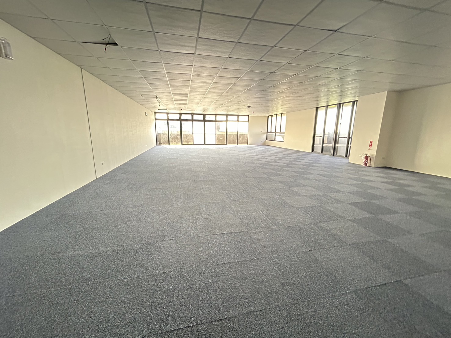 s޼tϡDitnDˬ10(F89)