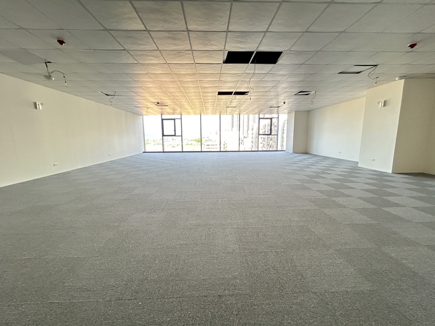 HstDitnDfD@|ĳǡD(F125)