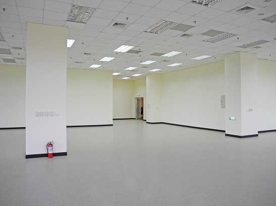 ���D�����G�q�A�u�t��D�������f��(F133)