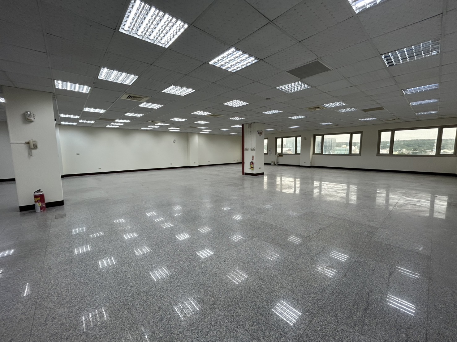 зǼtDitnDfDŽաDĵáD(G91)