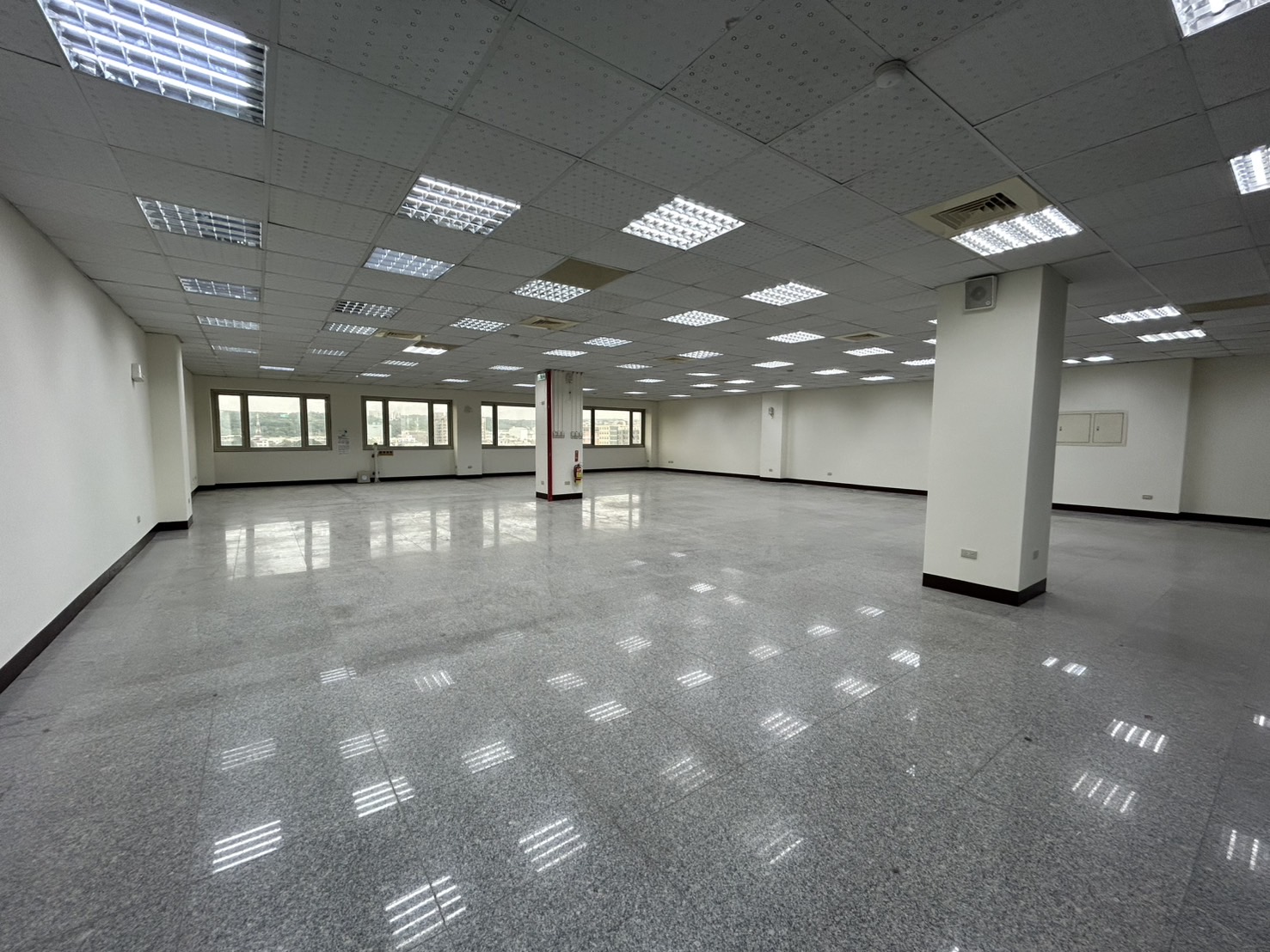 зǼtDitnDfDŽաDĵáD(G91)