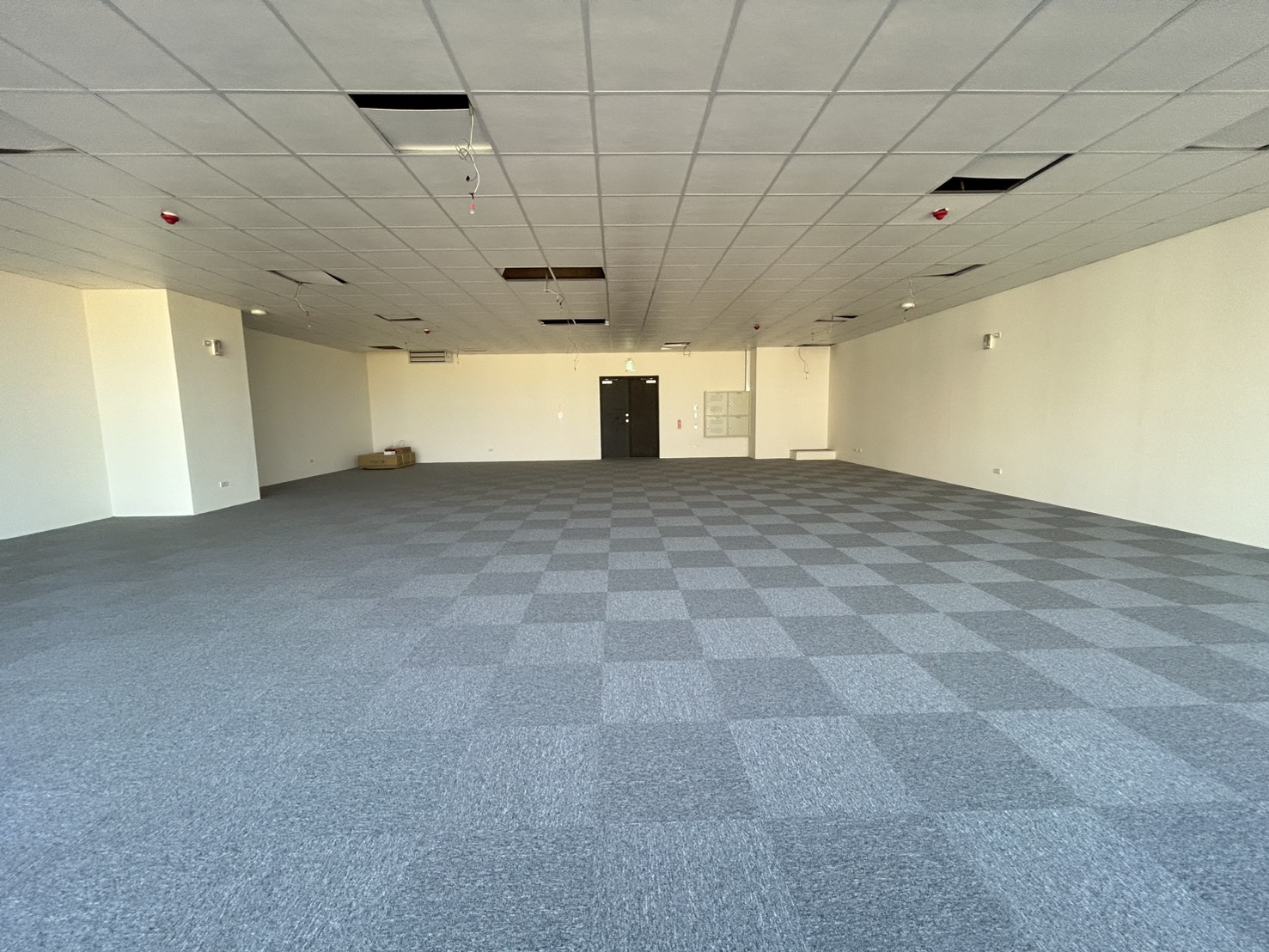 HstDitnDfD@|ĳǡD(G74)