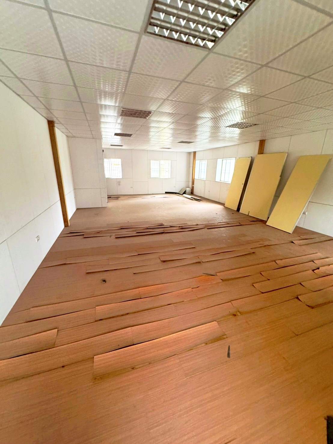 ���ڸ������Ӱ�D���e���̢��D�j�W�ơD�i�\��(H21)