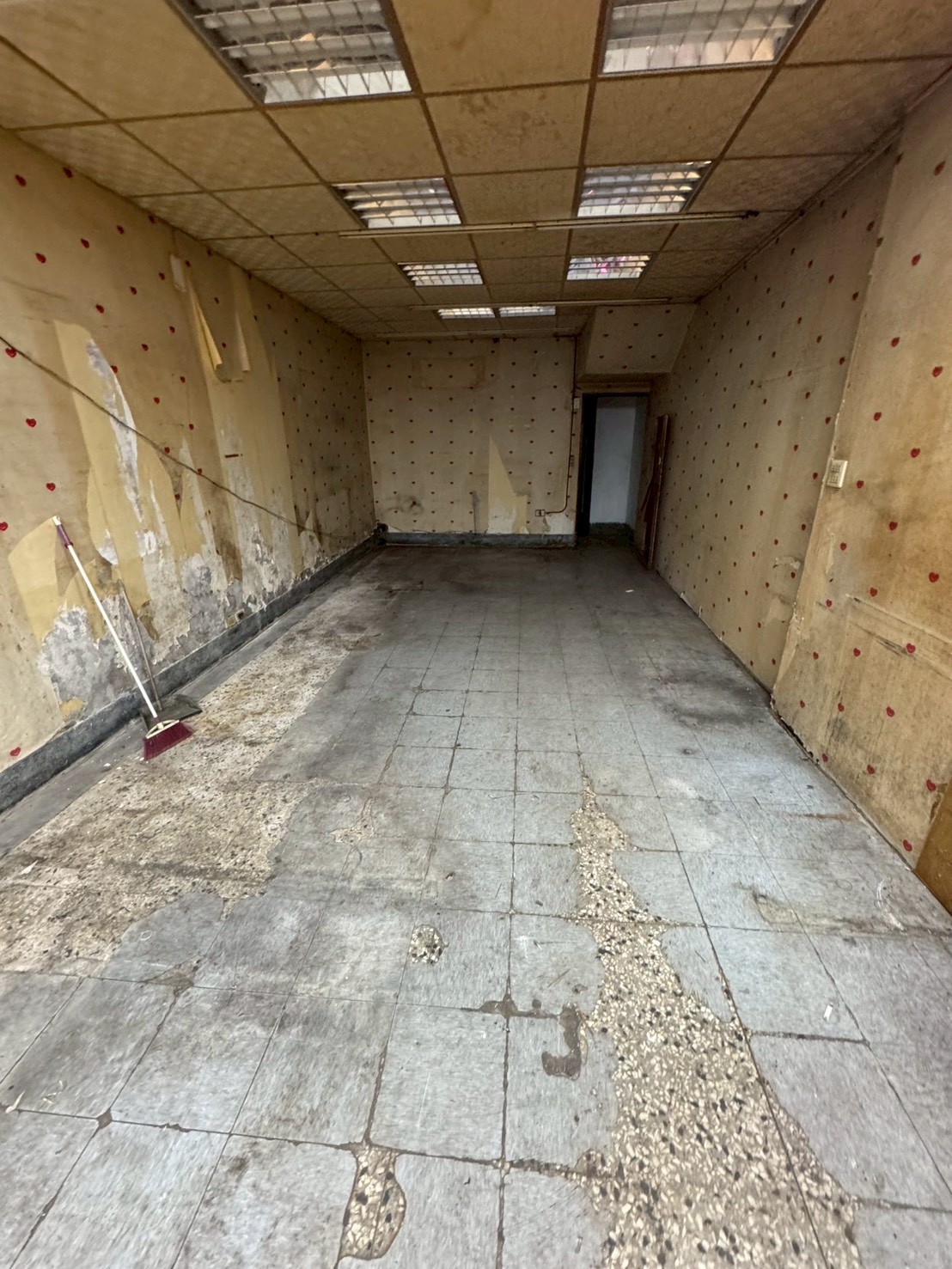 �񥨫��D�������D�A���Ʃ��D�i����(H146)