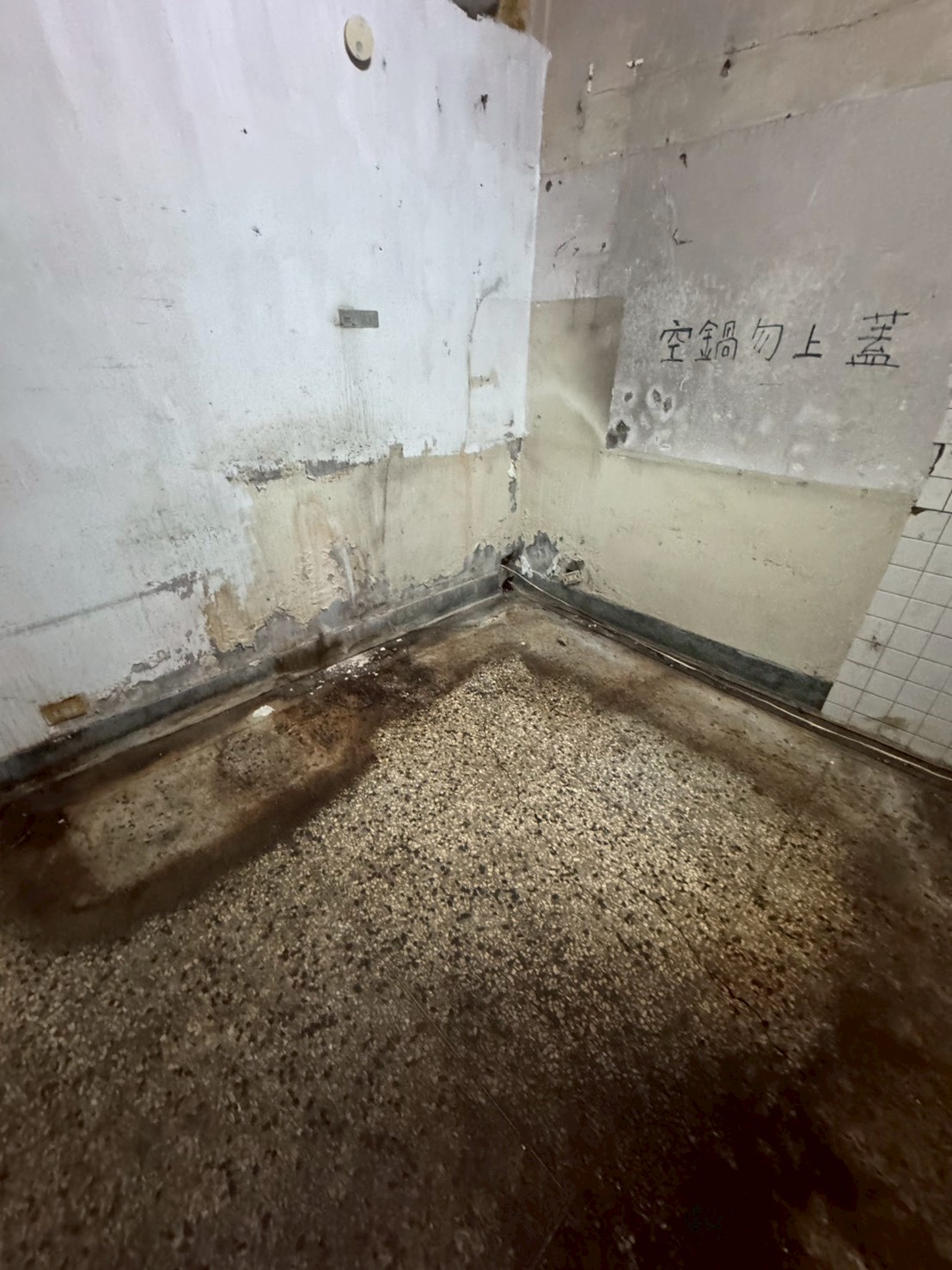 �񥨫��D�������D�A���Ʃ��D�i����(H146)