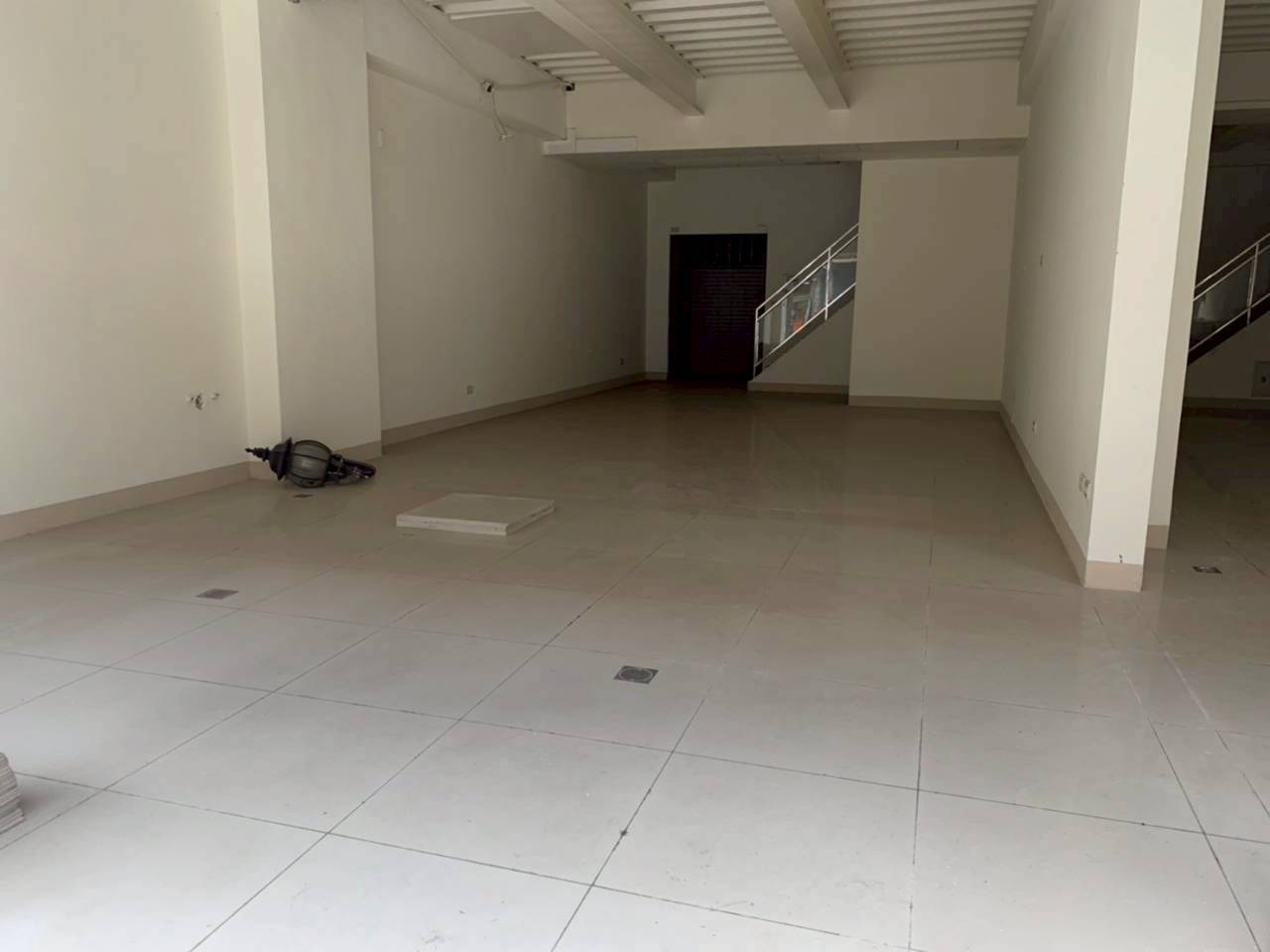 Fj/s\/@ػ/ʤuʷ~i(H156)