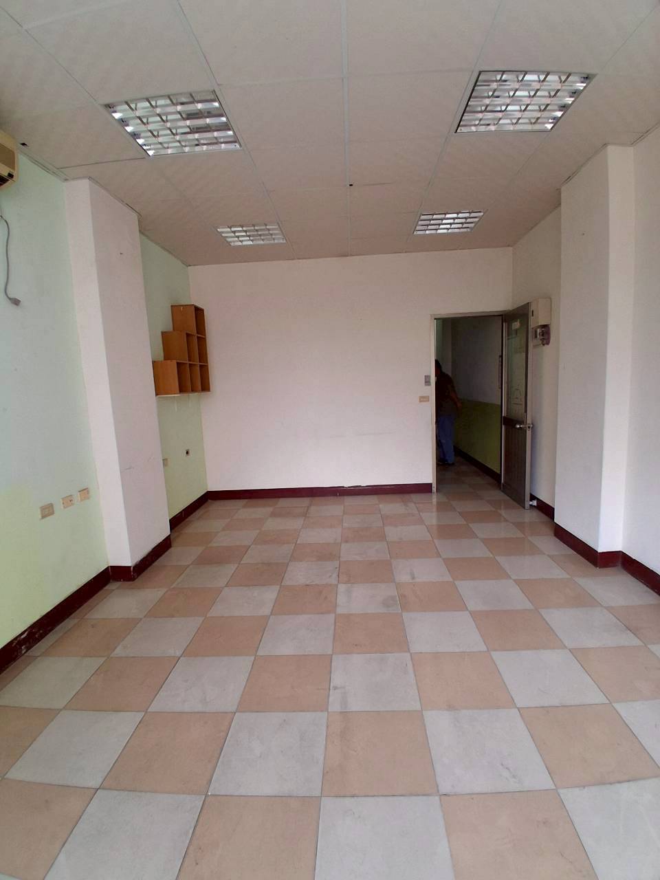�ǰϪ�����/�������W�j�Ŷ�/�ɲ߯Z����/�ӿ�/�E��(JBF43)