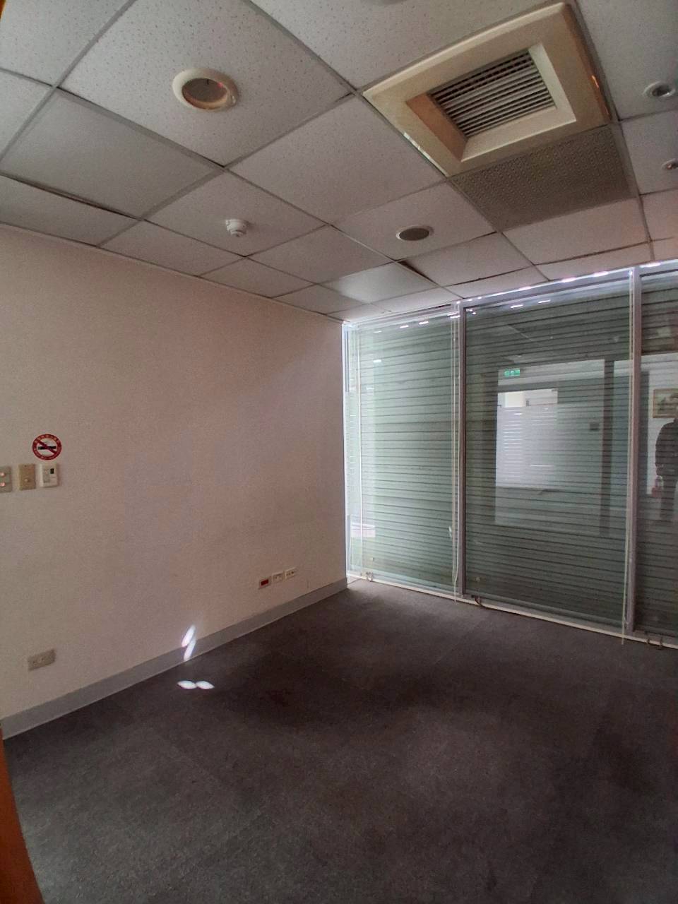 �a�ֺ֥����Ӱ������/���X�k/���/�E��/������(JBF58)