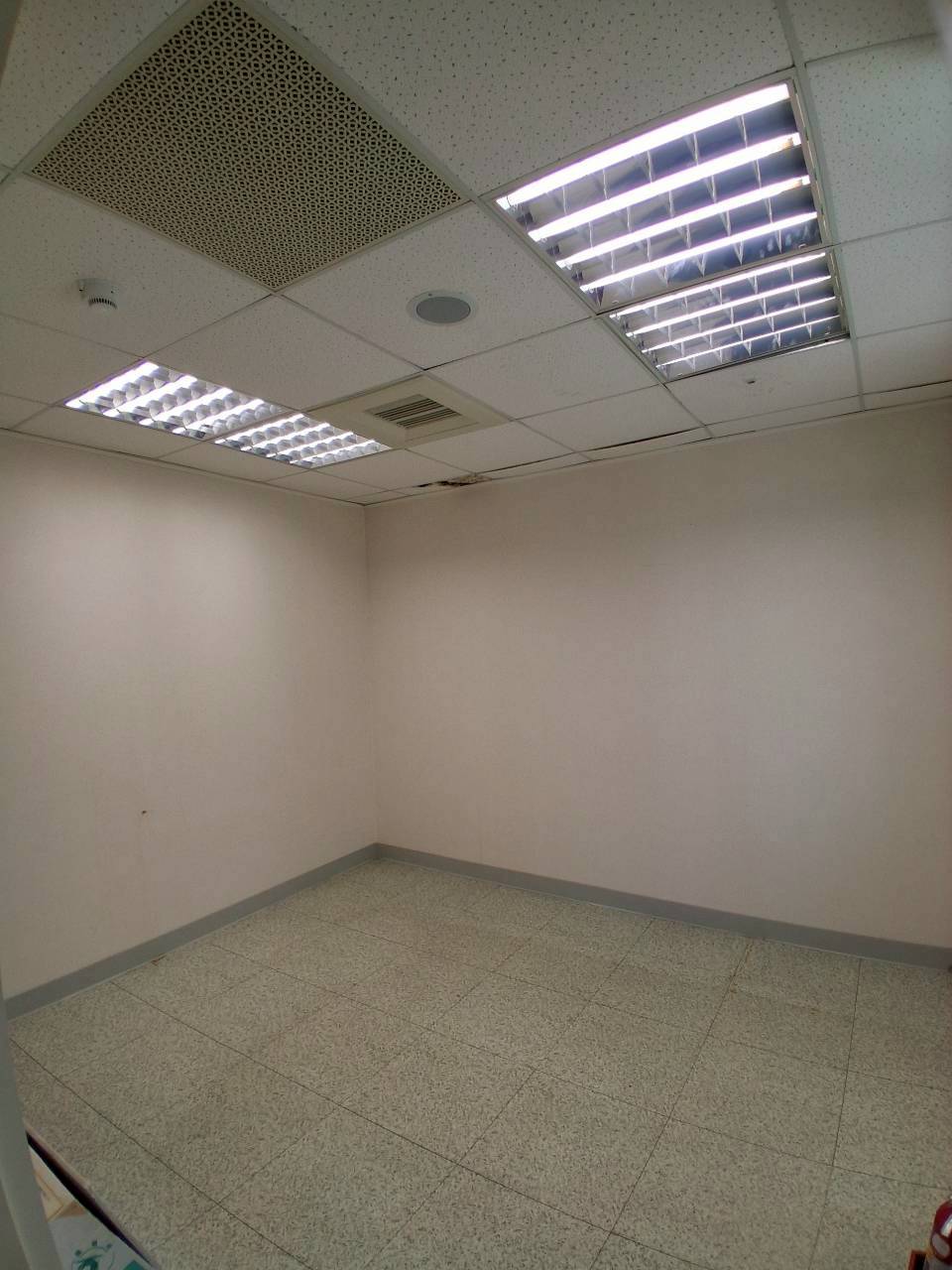 �a�ֺ֥����Ӱ������/���X�k/���/�E��/������(JBF58)