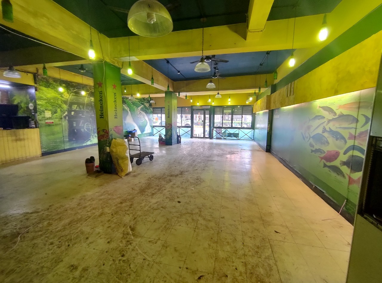 �g����j���\���Ӱ�D�j���e�D�ߤ@�X��(H42)