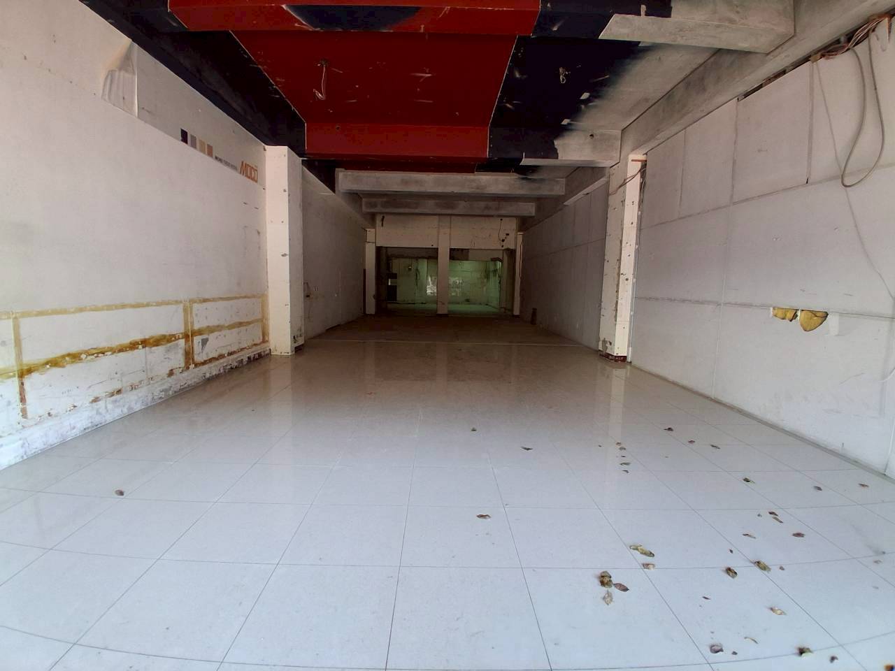 �忳������/�j���e/���K/�奫�t��(JBF65)