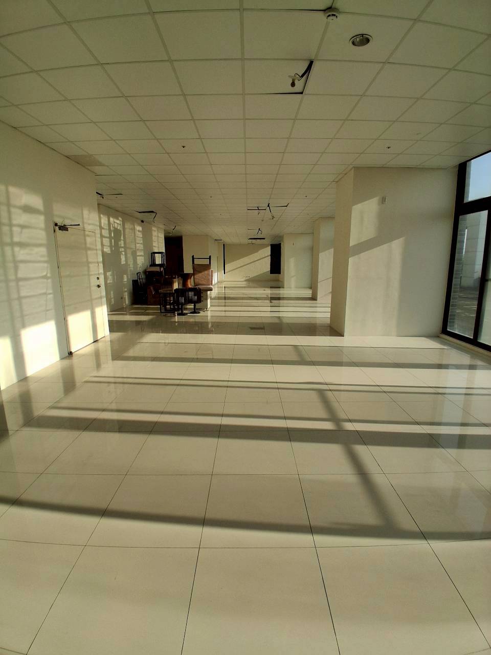 �M��/�j���ʳߵn�Ӱ�/���X�k/�j�W��/���/������