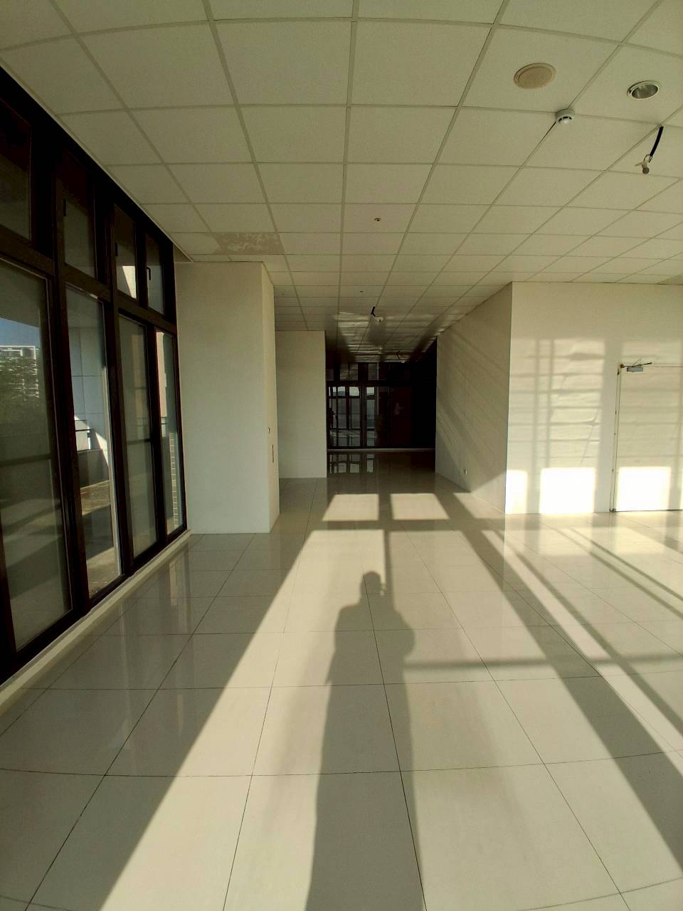 �M��/�j���ʳߵn�Ӱ�/���X�k/�j�W��/���/������