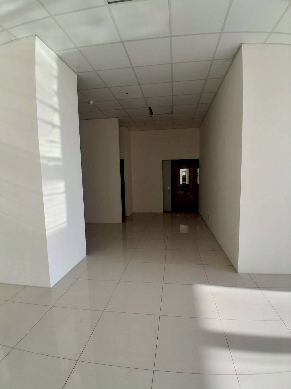 �M��/�j���ʳߵn�Ӱ�/���X�k/�j�W��/���/������