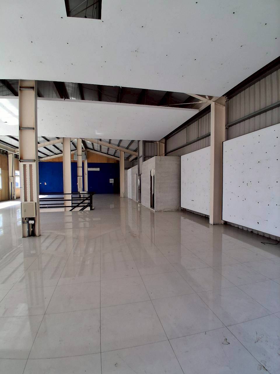 �ߨӵn�j�������Ӱ�/�����T����/�j���e����(JBF90)