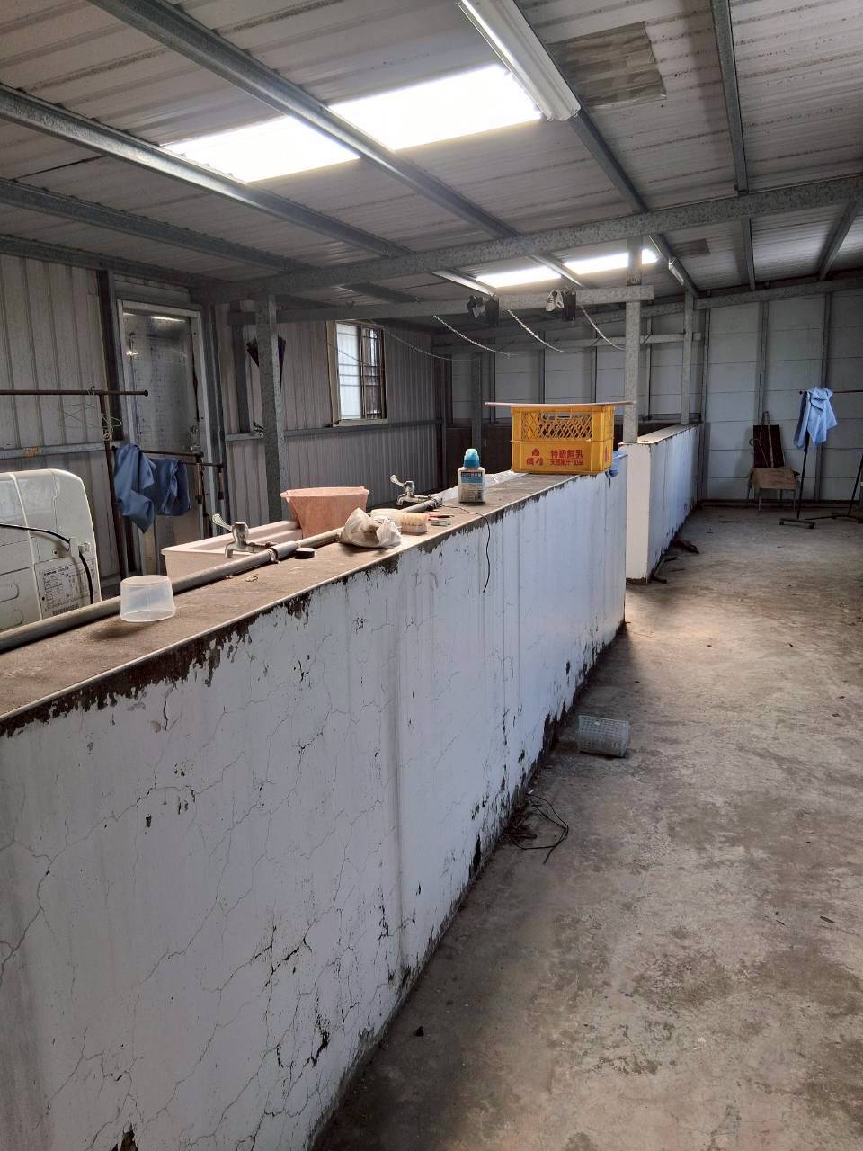 �x���\�U������/�ˤl�\�U/�a�W�������W/���ʩW������(H190)