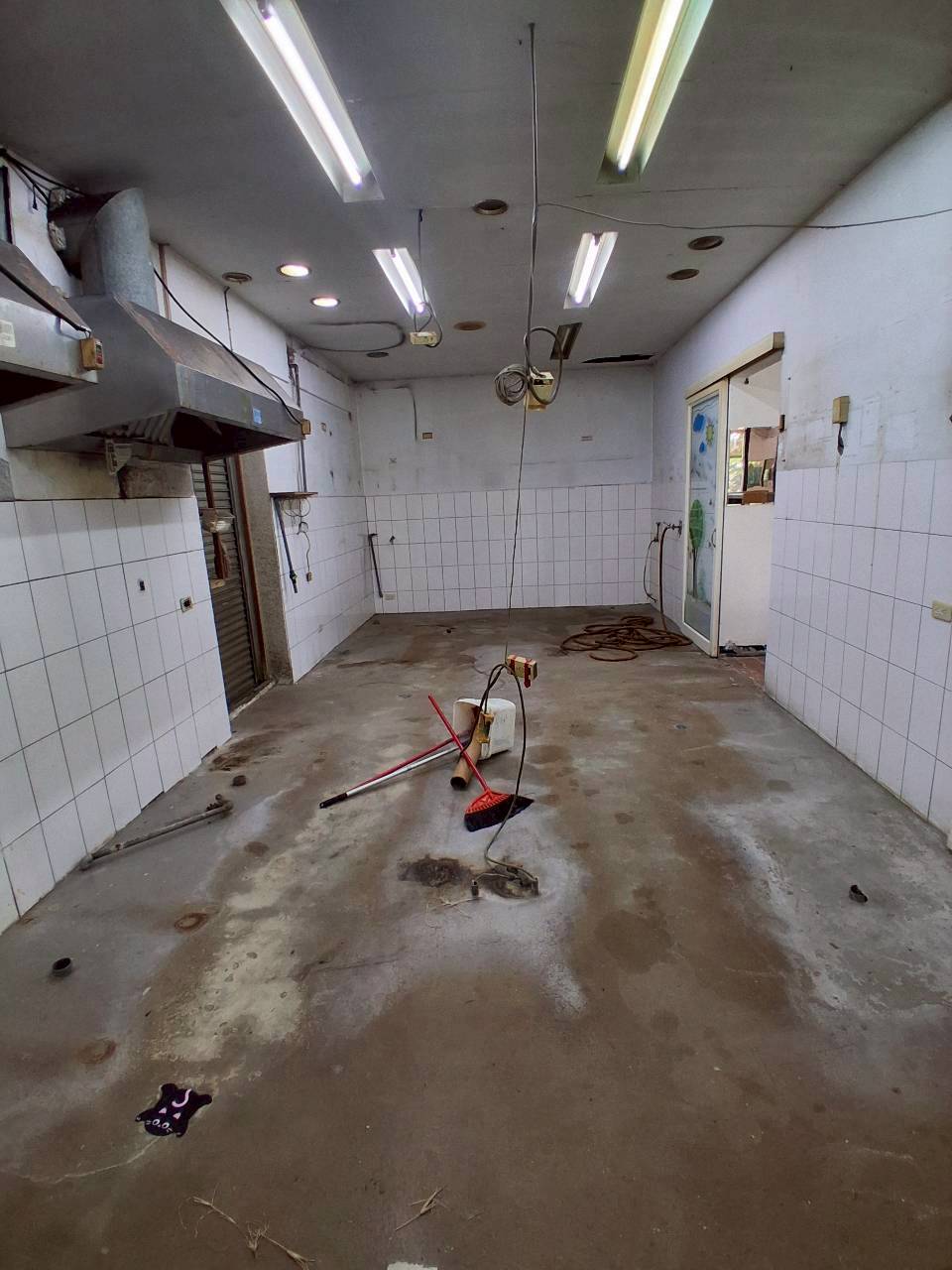 �x���\�U������/�ˤl�\�U/�a�W�������W/���ʩW������(H190)